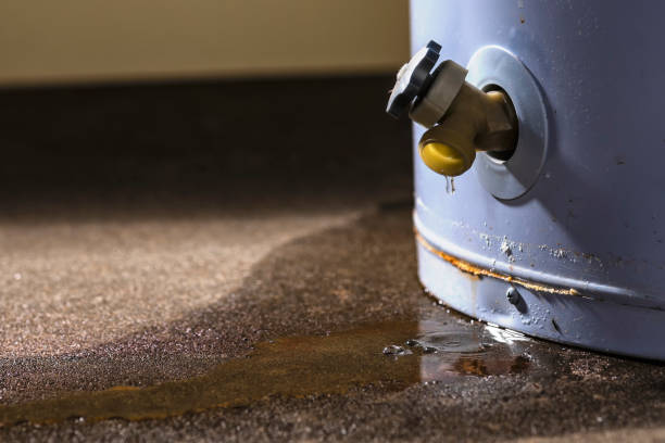 Best Local water damage restoration  in Mount Pleasant, SC