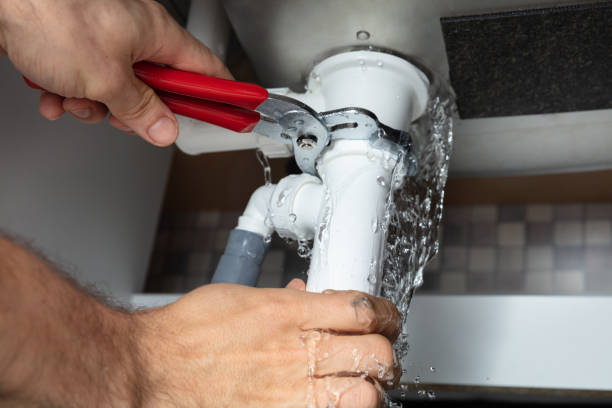 Best Water damage contractors near me  in Mount Pleasant, SC