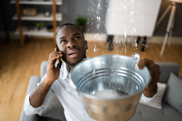Best Flooded house restoration  in Mount Pleasant, SC