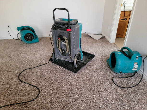 Best Water damage repair service  in Mount Pleasant, SC