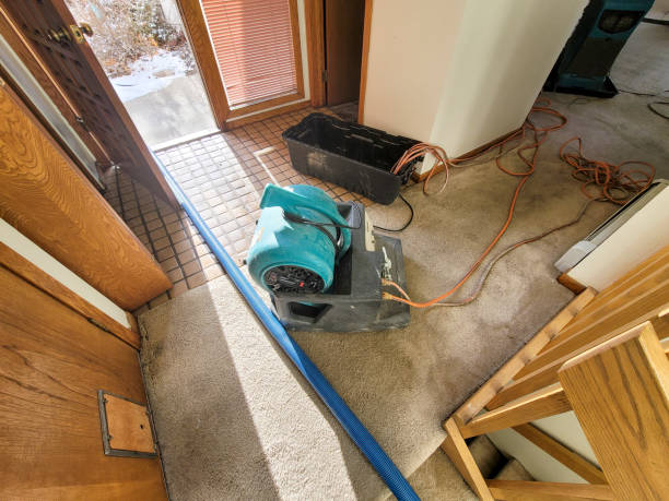 Best Residential water damage restoration  in Mount Pleasant, SC