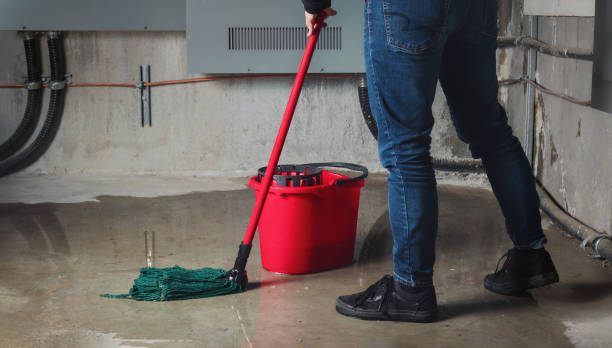 Best Mold removal after water damage  in Mount Pleasant, SC
