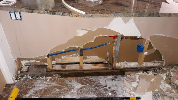 Best Basement water damage restoration  in Mount Pleasant, SC