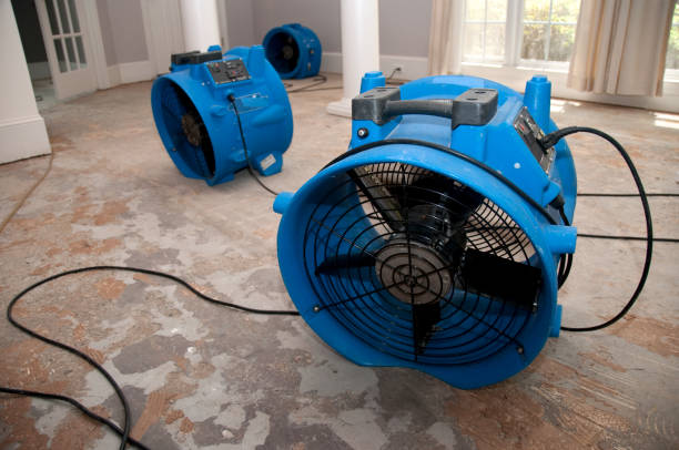 Best Commercial water damage restoration  in Mount Pleasant, SC