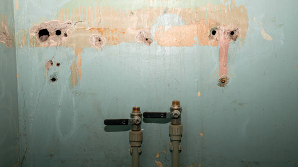Best Fire Damage Restoration  in Mount Pleasant, SC