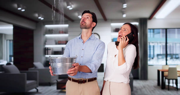 Best 24-hour water damage restoration  in Mount Pleasant, SC
